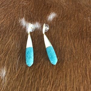 Kendra Scott dangle earring